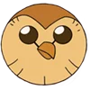 🦉