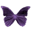 🦋