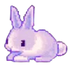 🐇