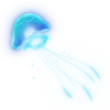 🌊