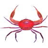 Эмодзи Sea invertebrates