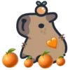 🍊