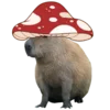 Эмодзи 🐹 Capybara 🐹