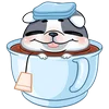 ☕