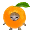 🍊