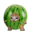Эмодзи Kitten Fruits Vegetables