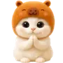 🙏