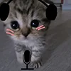 😮