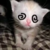 Эмодзи kotik