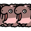 ?