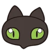 🐈‍⬛