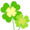 🍀