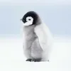 🐧