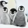 🐧