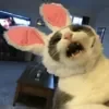 😄