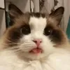 😄