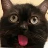 😄