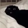 😄