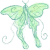 🦋