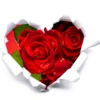 Эмодзи 🌷8 March