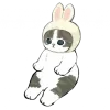 🐰