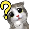 ❓