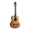 🎸
