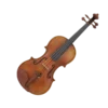 🎻
