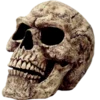 ☠️