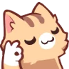 🐱