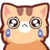 🐱