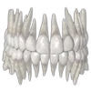 🦷