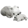🐄