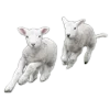 🐑