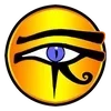 👁‍🗨