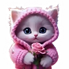 🐱