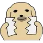 📃