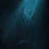 🎵