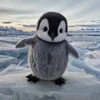 Эмодзи Penguins 🐧