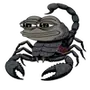 🦂