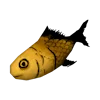 🐟