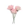 🌹