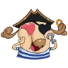 🏴‍☠️