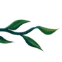 Эмодзи Plants