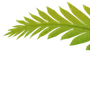 Эмодзи Plants Font
