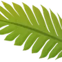 Эмодзи Plants Font