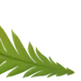 Эмодзи Plants Font