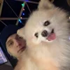 ?