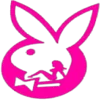 🐇
