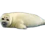 Эмодзи Seals